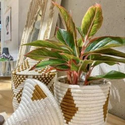 escape New Berber Baskets