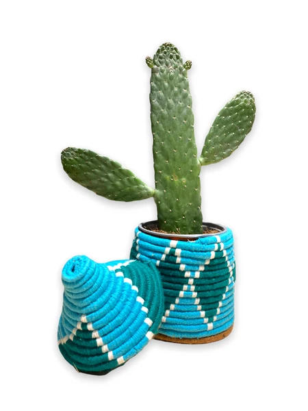 escape New Berber Baskets 94 - 96 escape New Berber Baskets 94 - 96