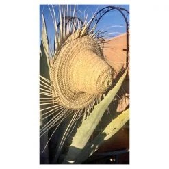 escape Palm Hat With Fringes