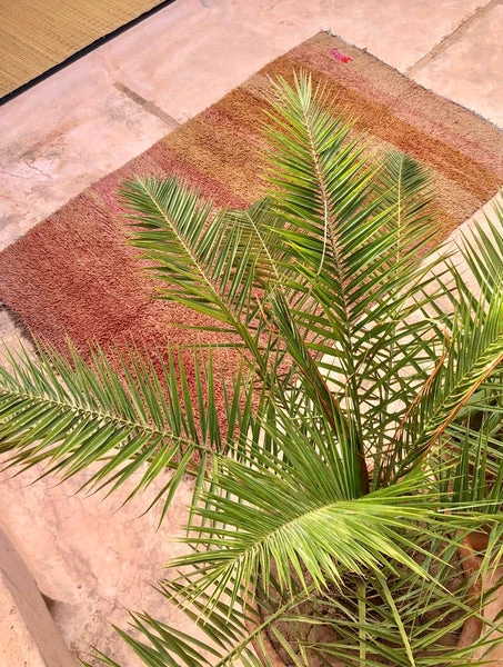 escape Ochre & Pink Boujad Rug escape Ochre & Pink Boujad Rug