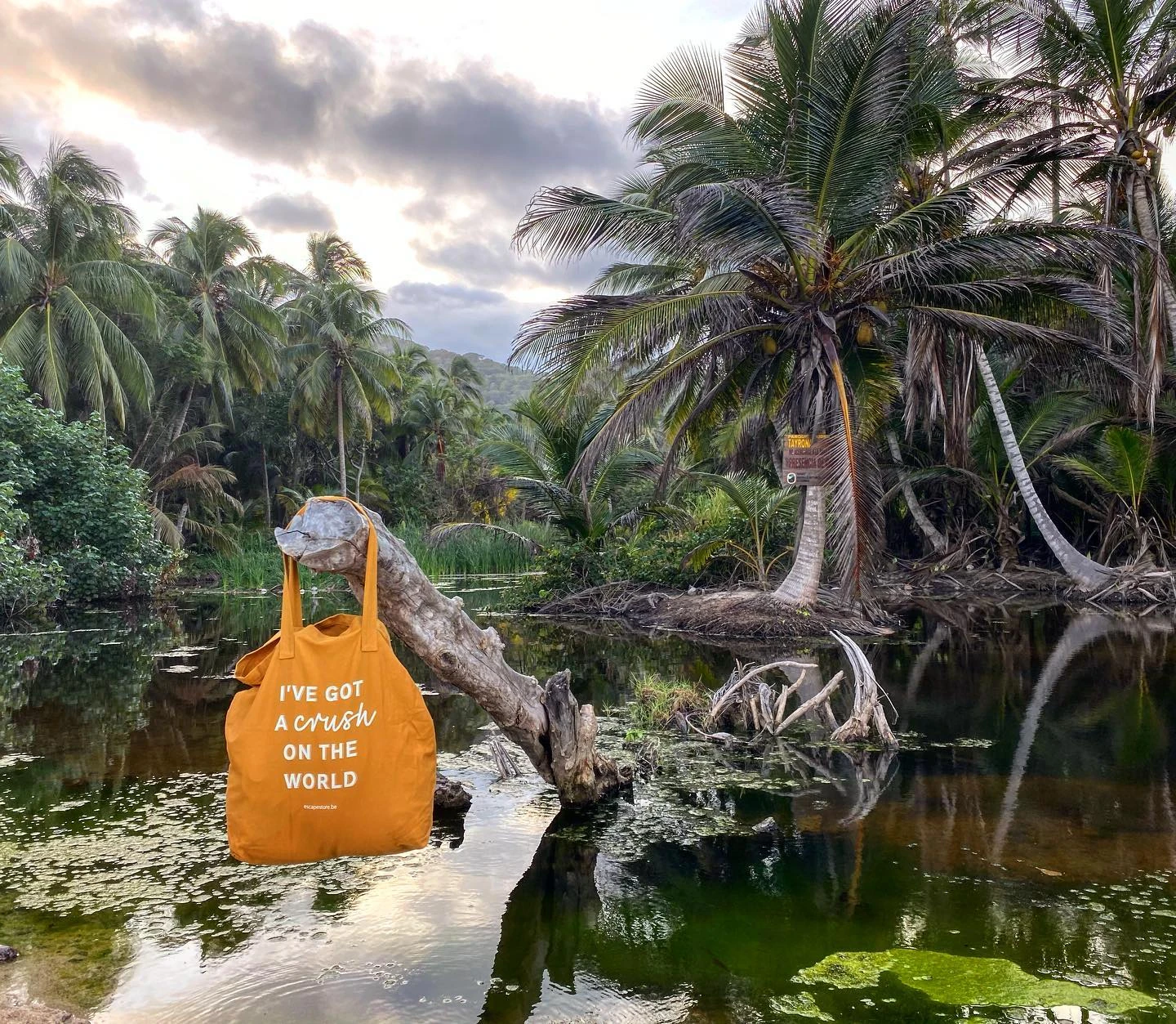 escape Tote Bag 2021 escape Tote Bag 2021